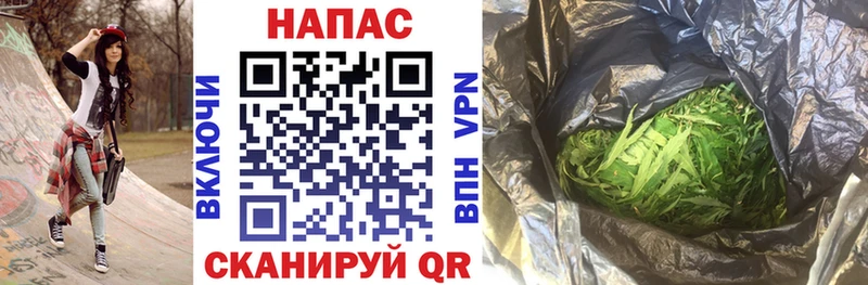 Конопля гибрид  hydra сайт  Магас 
